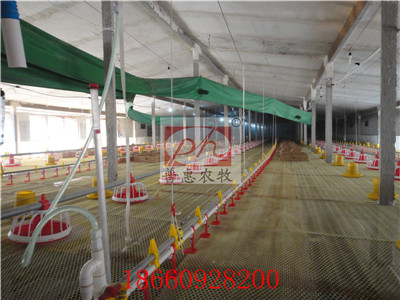 �B(y��ng)���O��-�Ͼ�