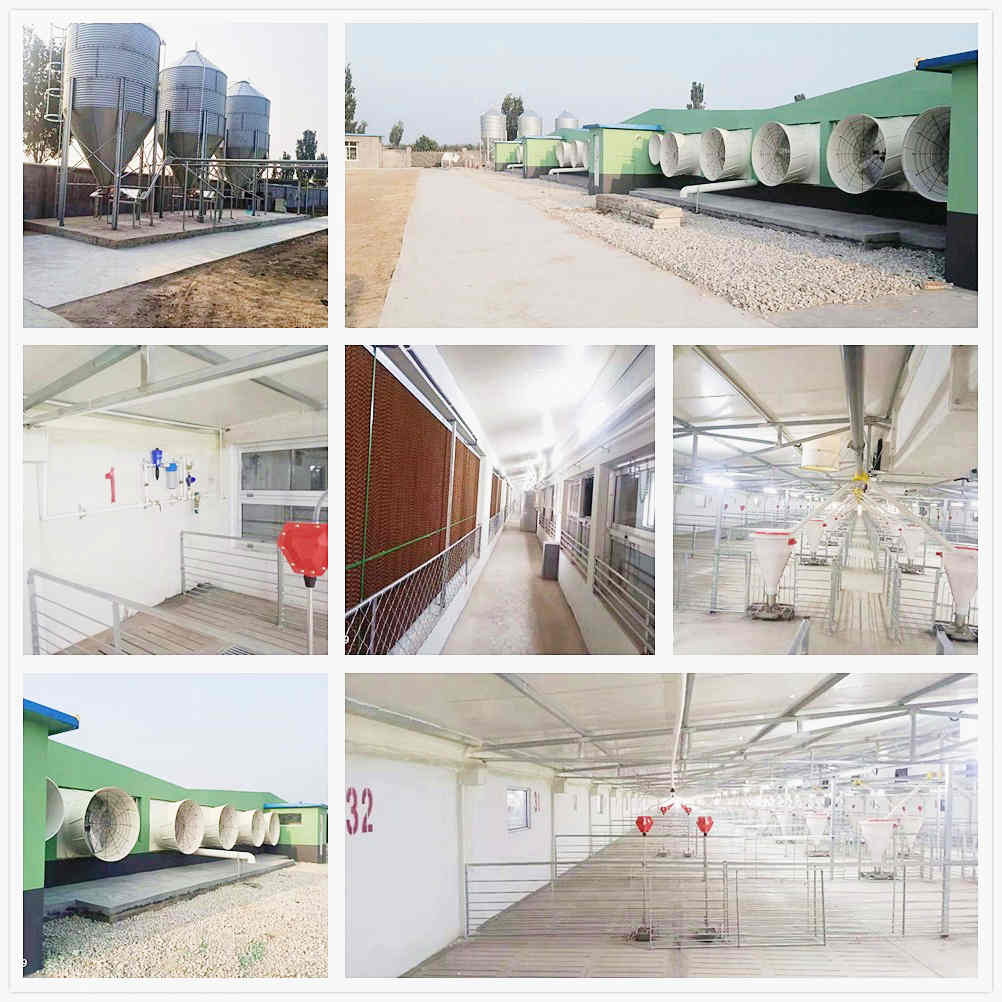 ɽ�|�R�������Ŀ