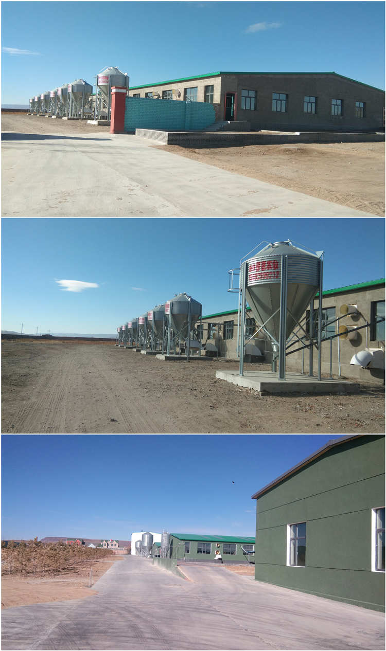 ��(n��i)�ɹ����\�r(n��ng)���I(y��)����