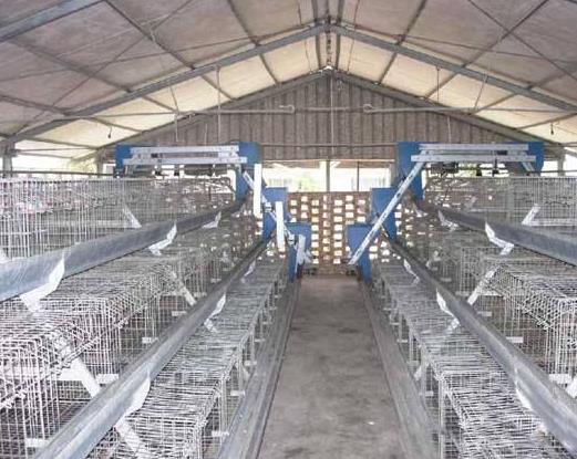 �S���ǂ�����ǧ�f�����S�����M(f��i)��